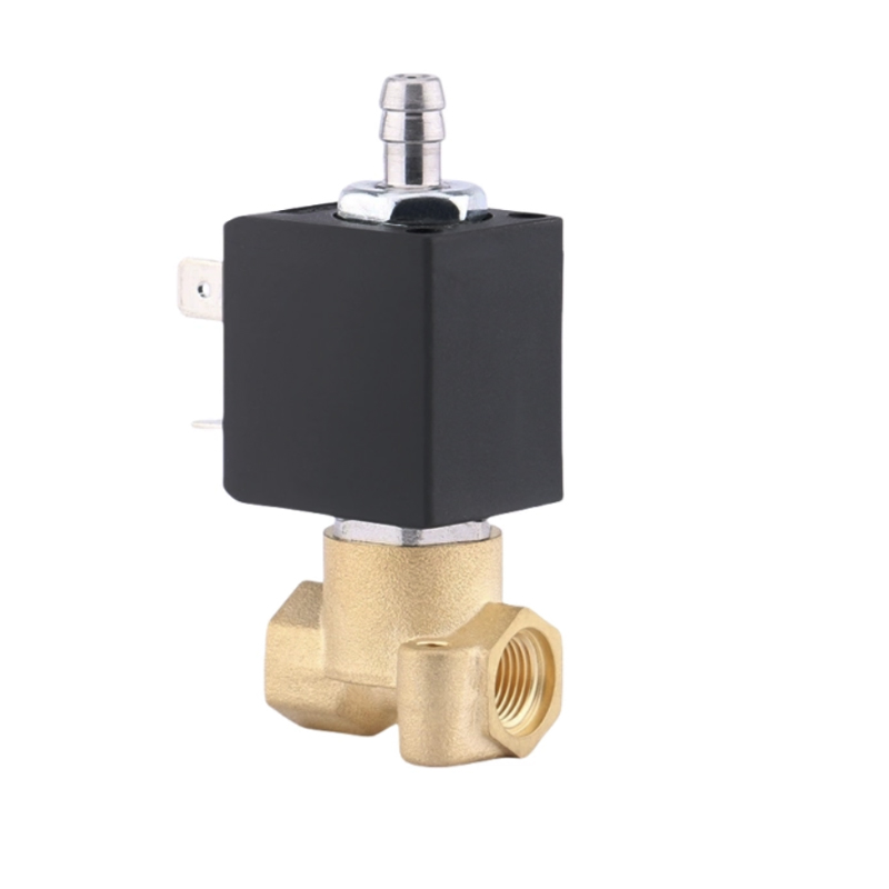 Van điện từ máy pha cà phê bằng đồng thau tác động trực tiếp 1/8 